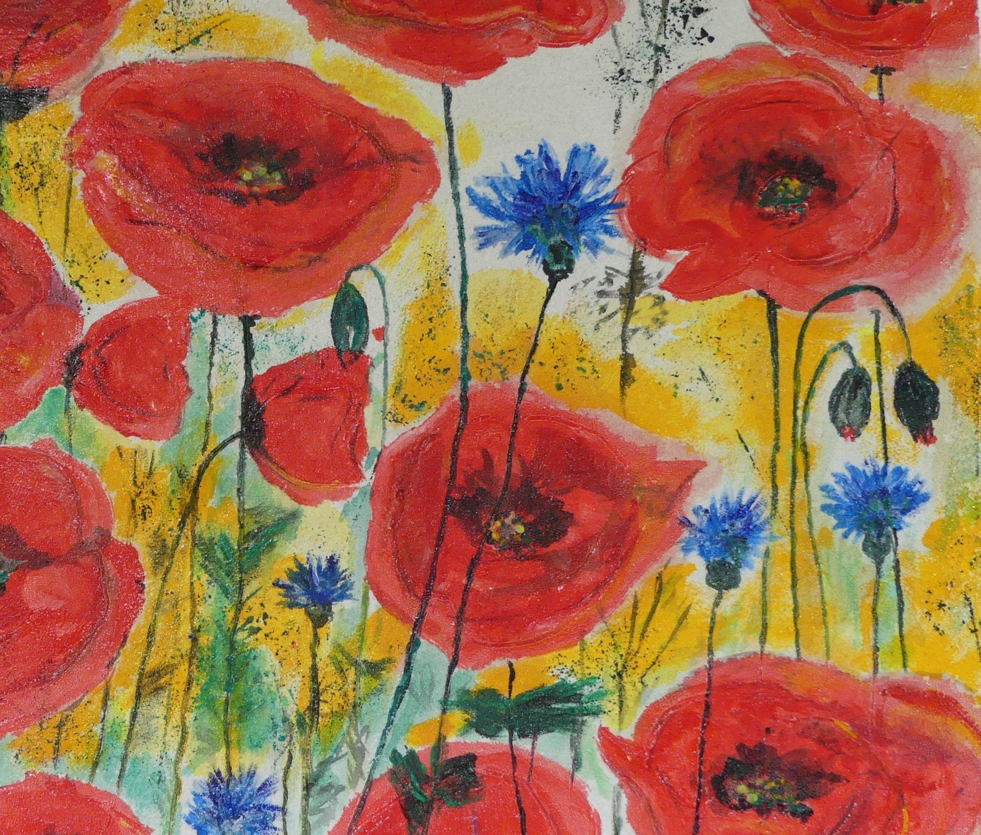 mohn ausschnitt 14.5.2020 (2).jpg
